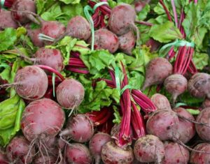 Harvested Beetroot