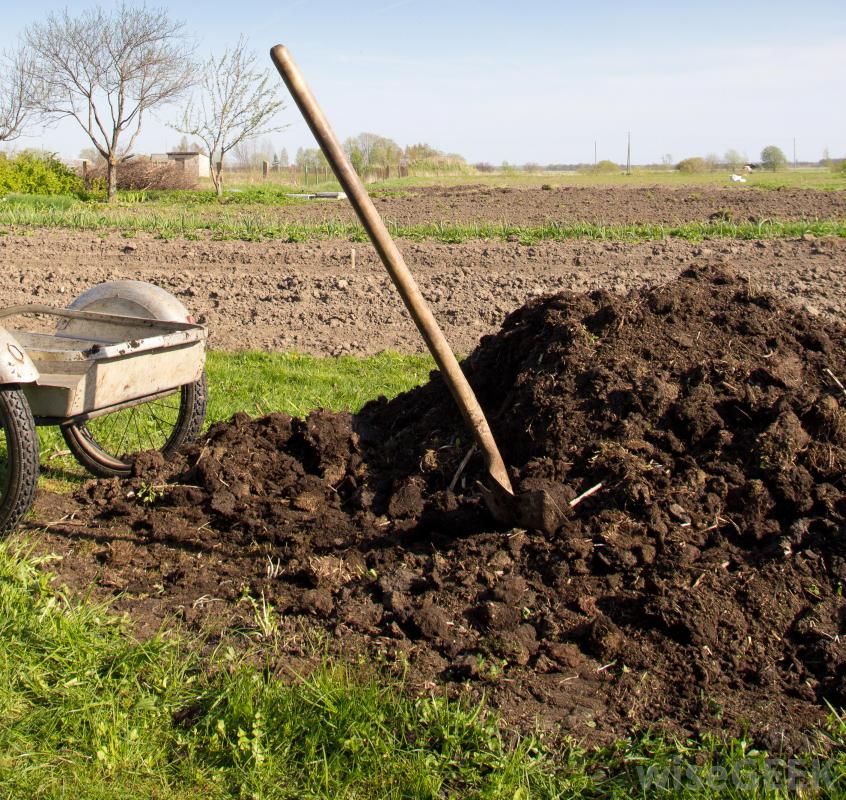 Organic Compost Making From Manures, Farmers Organic Compost
