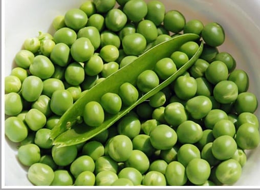 Green Peas seed