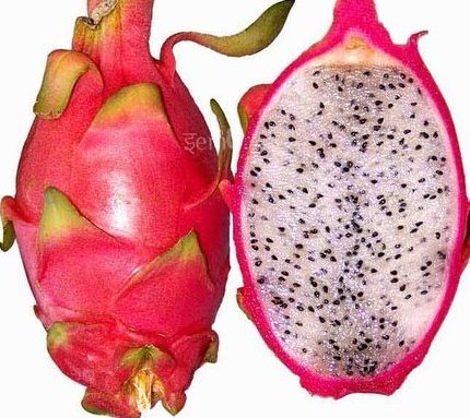 Health benefits of Dragon Fruit