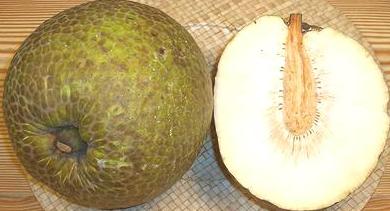 Health Benefits of Breadfruit
