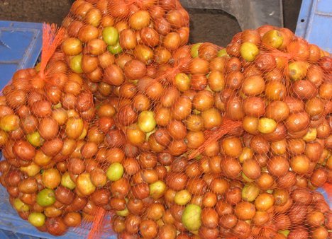Harvested Ber Fruit