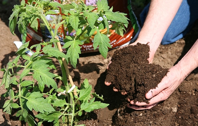 Applying Organic Compost