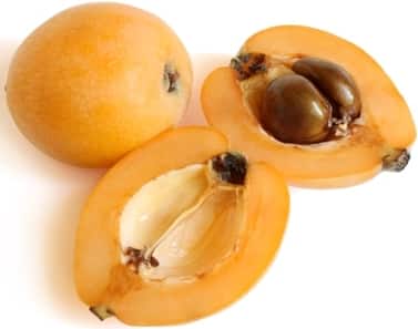 Health Benefits of Loquat Fruit