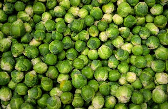 Harvested Brussels Sprouts