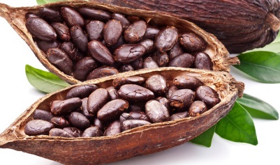 Health Benefits of Cocoa.