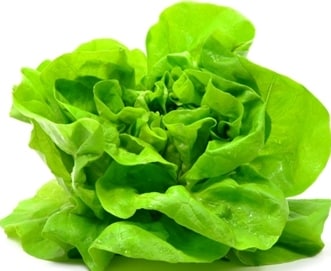 Health Benefits of Lettuce.