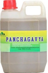 Panchagavya Solution.