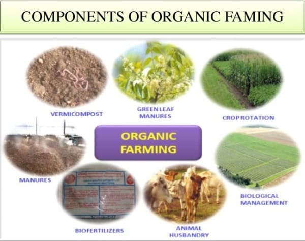 Organic Farming Components. (Photo Courtesy by TNAU).