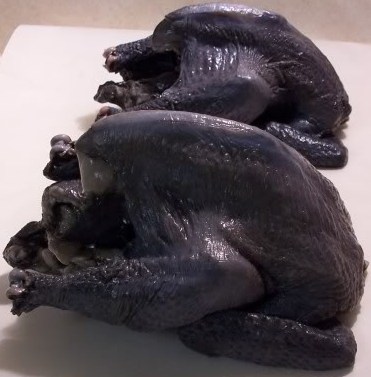 Kadaknath Black Chicken Meat.