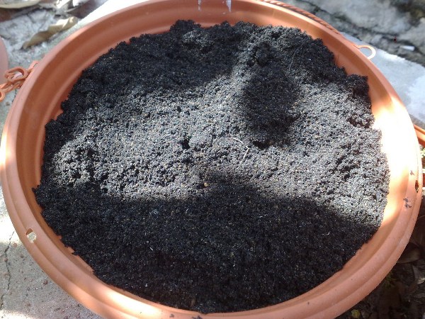 Potting Soil for Indoor Plants.
