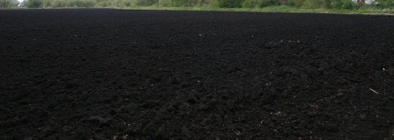 images of black soil in india