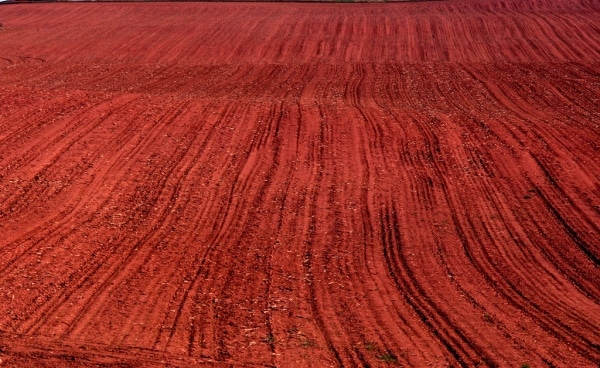 Red Soil.