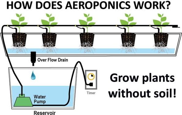 How Aeroponics Works ( Pic Source from RemoveandReplace.com).
