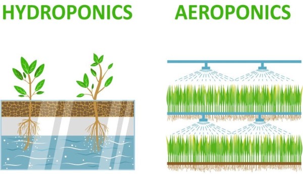 Hydroponics Vs Aeroponics (Source by Indoor Farmer).