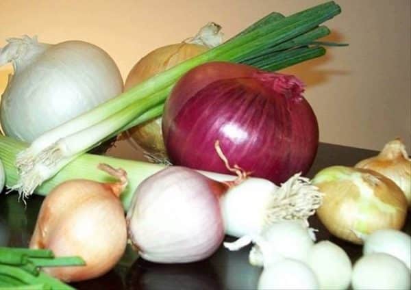 Varieties of Onions.