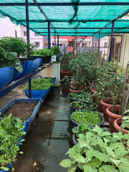 Terrace Gardening Rooftop, How To Make Terrace Garden In India