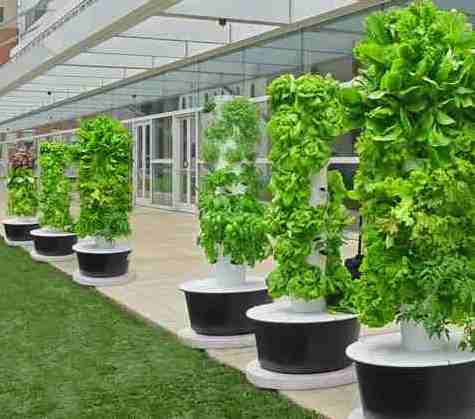 How Does a Vertical Hydroponics work.