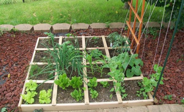 Square Foot Gardening Ideas and Tips | Agri Farming