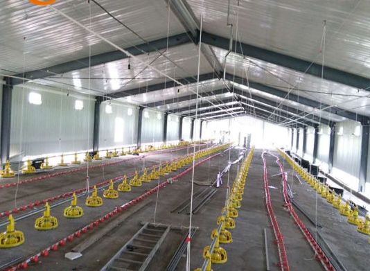 poultry farm construction plan