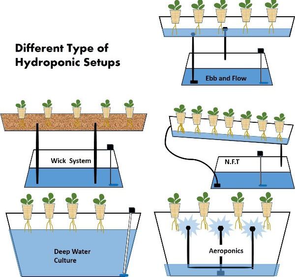 Types Of Hydroponic Farming System.