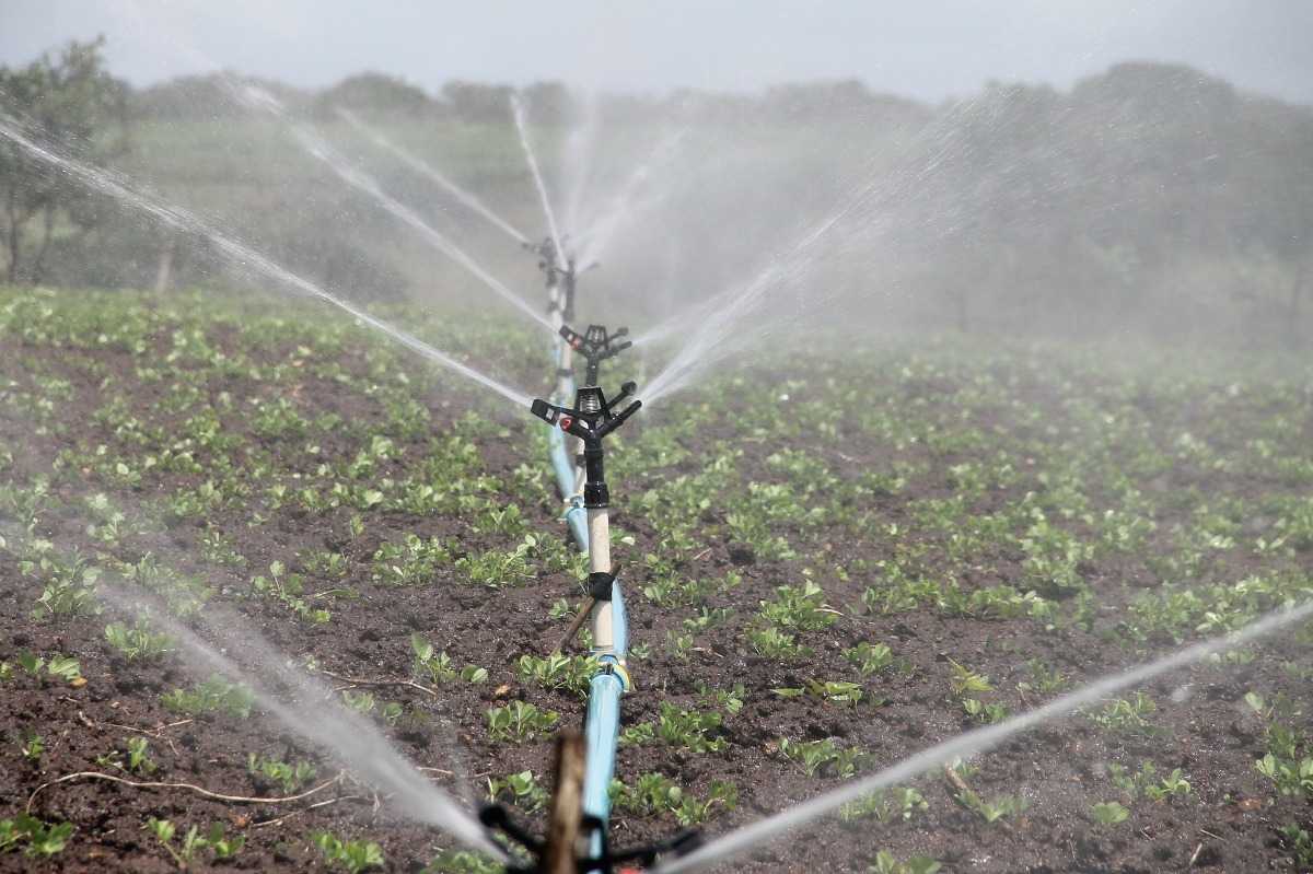 Sprinkler Irrigation.