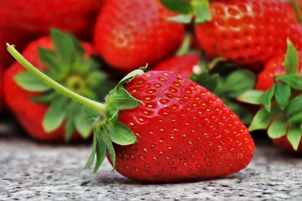 Strawberry Varieties.