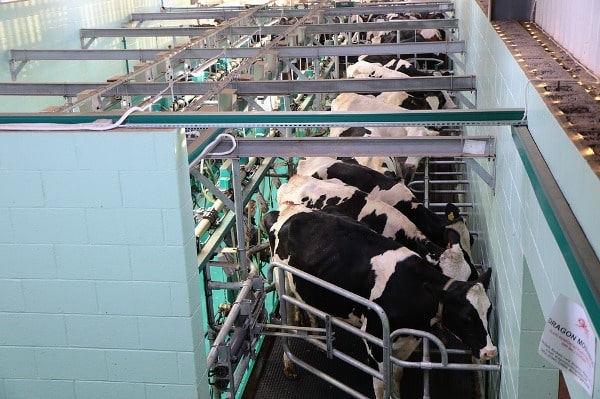 Dairy Farming In Karnataka, Loans, Subsidies, Schemes | Agri Farming
