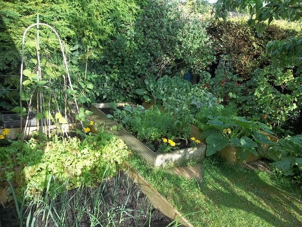 Things To Know About Community Garden.