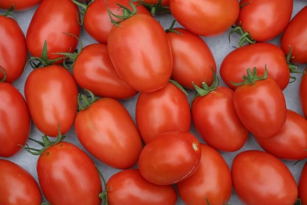 Ripend Roma Tomatoes.