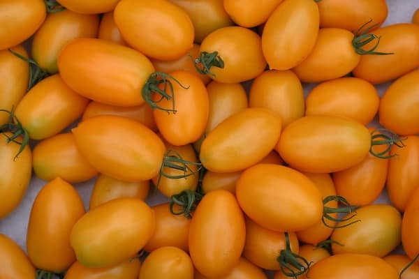 Yellow Roma Tomatoes.