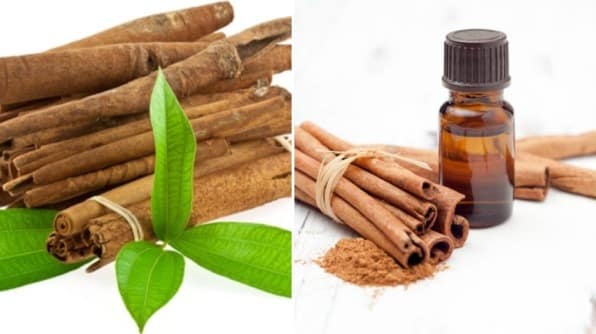 All About Cinnamon Oil