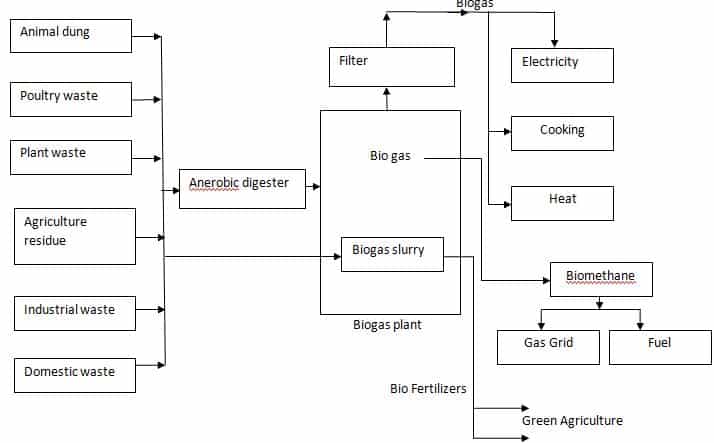 Biogas Production Process Diagram.