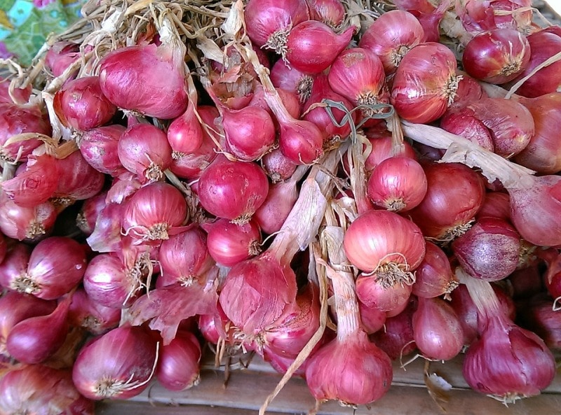 Red Onions.