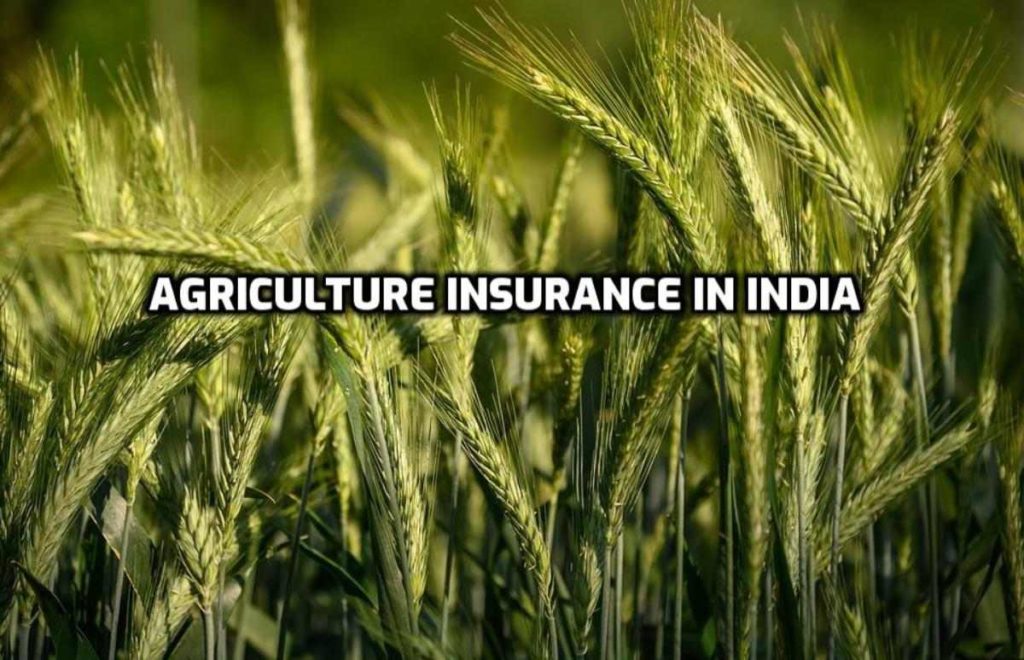 agri-insurance-schemes-in-india-a-full-guide-agri-farming