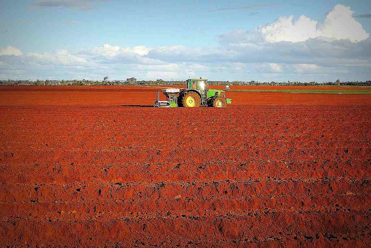 Crops Suitable for Red Soil - A Full Guide | Agri Farming