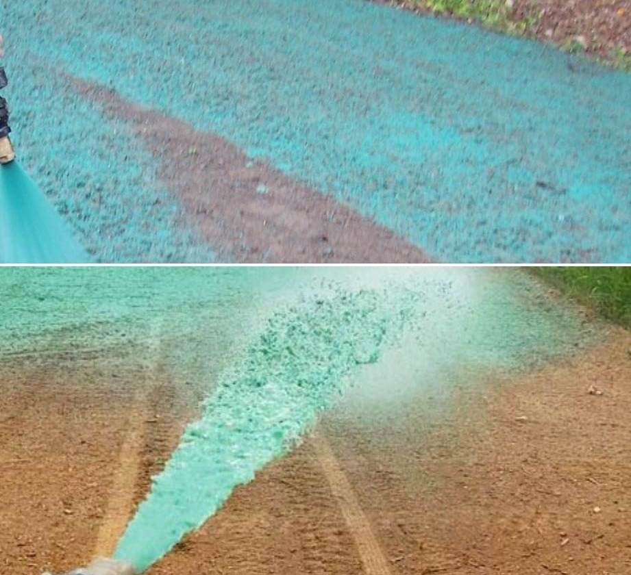 Pros and Cons of Hydroseeding.