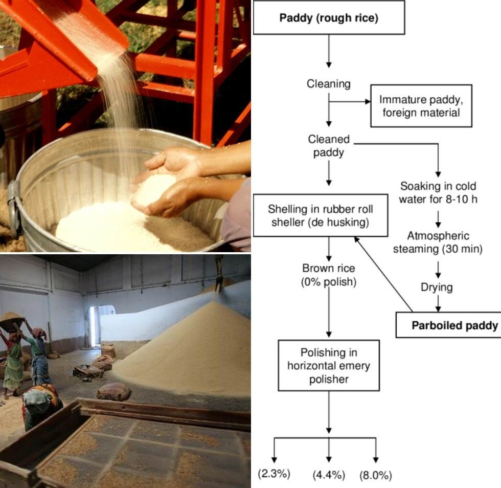 Rice Processing, Mill Loans, Subsidies.