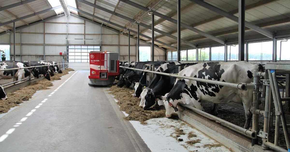 Dairy Farm Infrastructure.