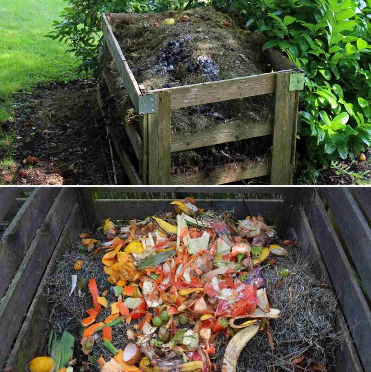 A guide to Composting Subsidies.
