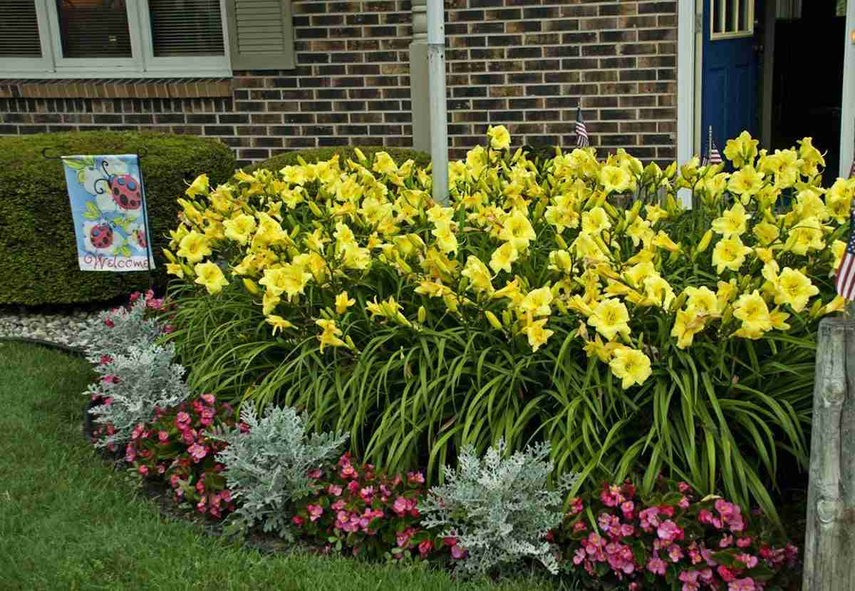 Ideas for Improved Spring Flower Garden.