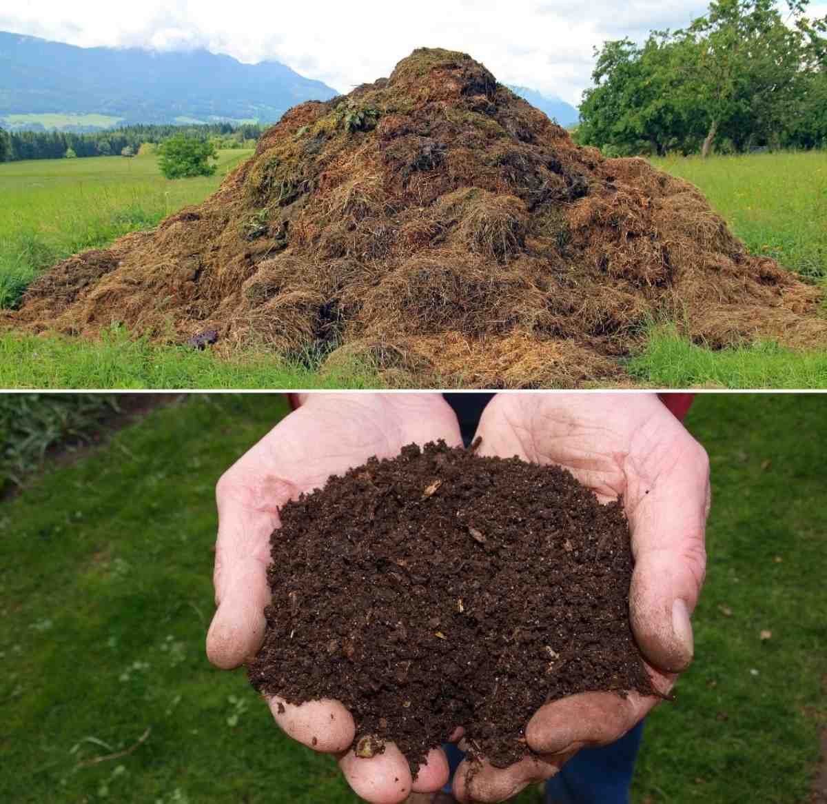 Benefits of Compost Subsidy.