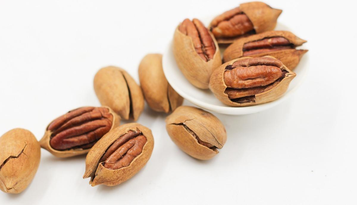 The Pecan Seed/Nut.