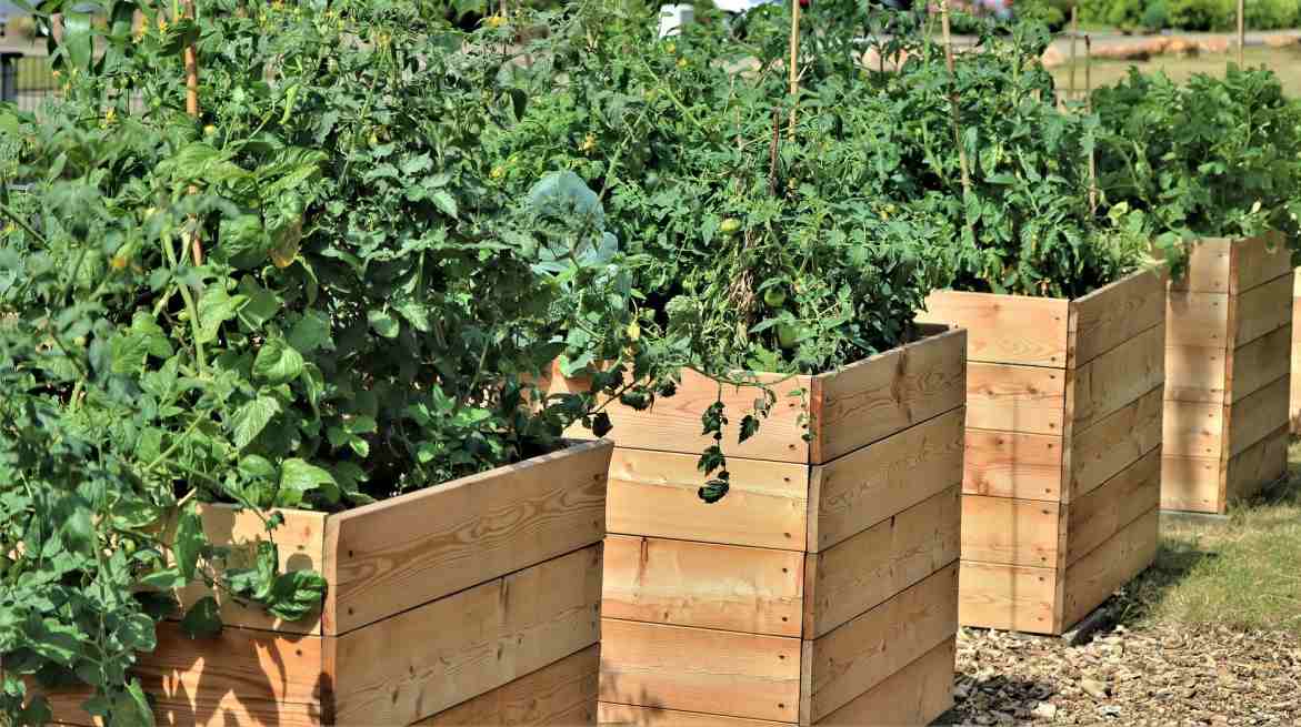 A guide to commercial raised bed farming.