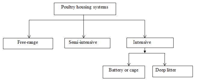 Poultry Housing Systems