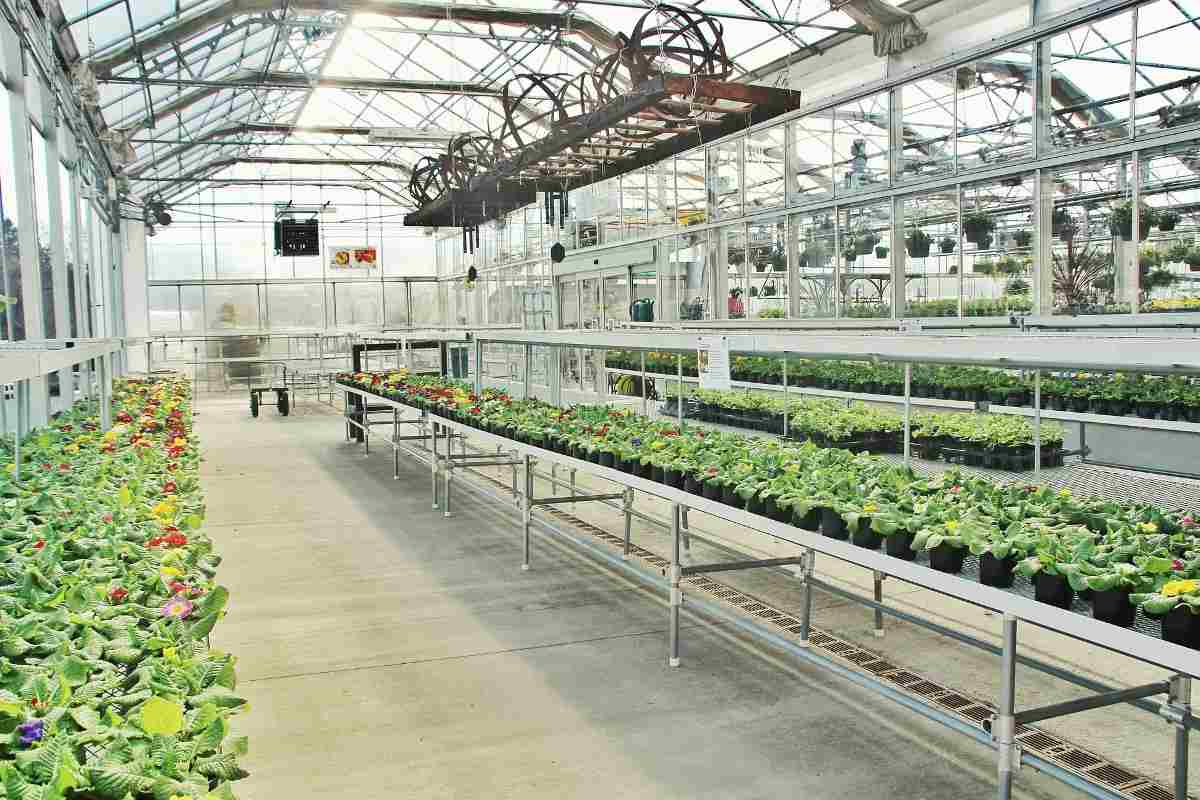 Advantages of Greenhouses Flower Production