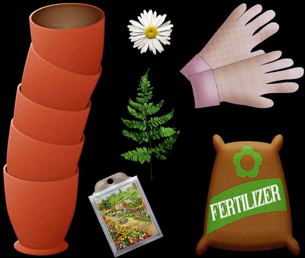 Guide to Vegetable Fertilizer