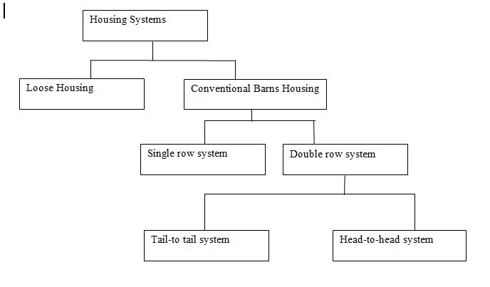 Flow Chart Diagram for Types of Dairy Housing Systems