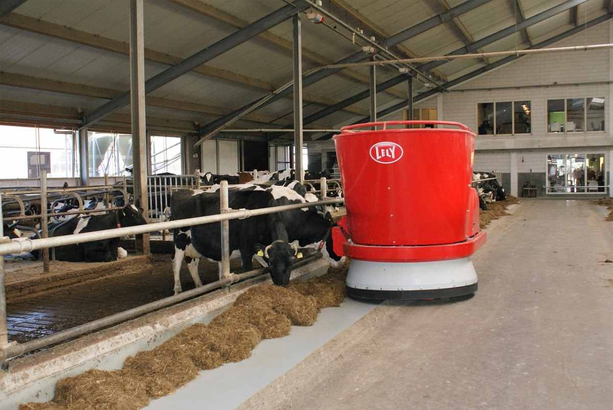Organic Dairy Farm