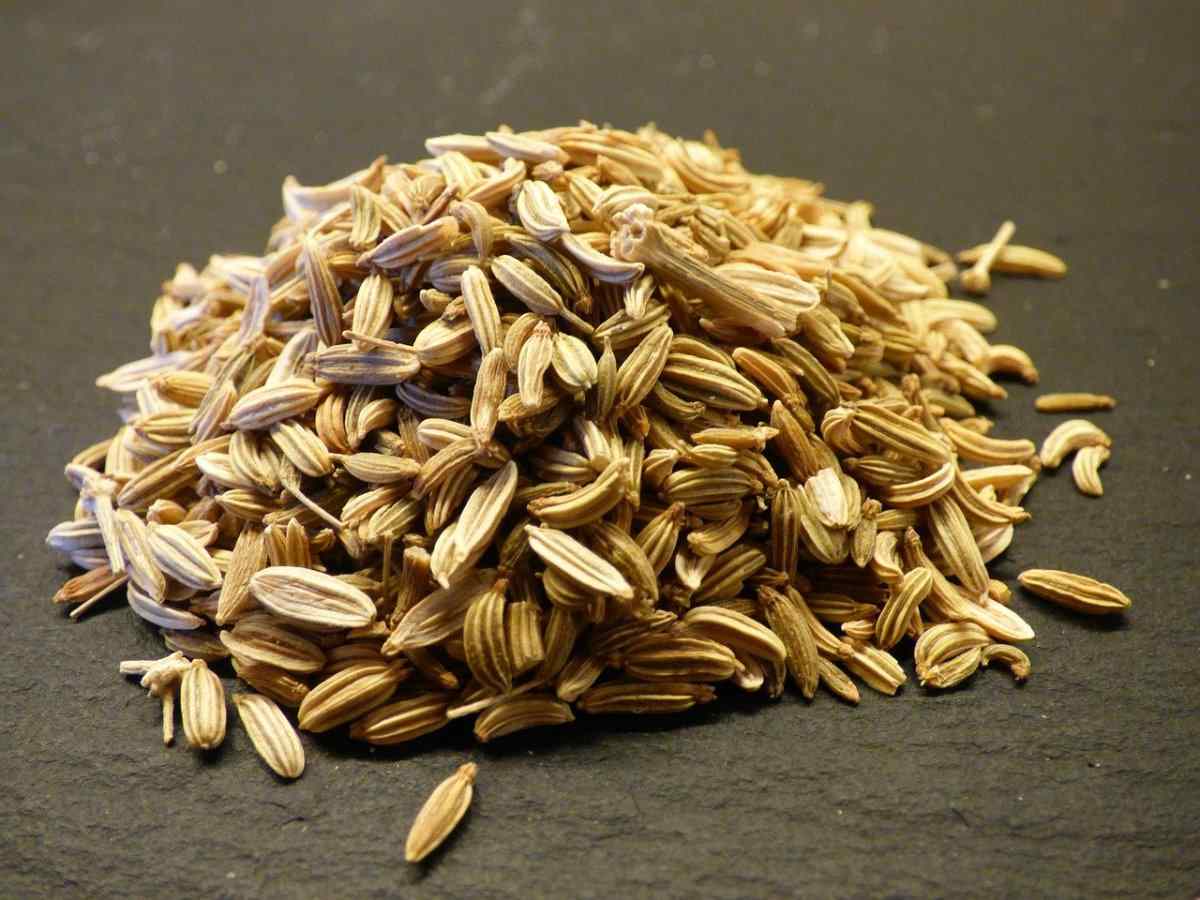 100 Pcs mymotto Organic Fennel Seeds apiaceae Seeds Vegetables Seeds Home Garden 